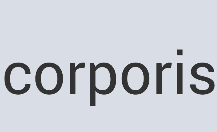 Aerodynamic Leather Hemline of Fire